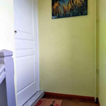 Appartement Le 11 De Colmar Extérieur photo